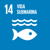 Vida Submarina